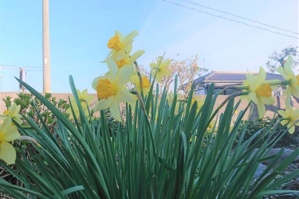 Farm Stay Inn Sanzaemon-Tei 母屋guesthouse Shiga-Takasima Traditional Japanese Architecture House المظهر الخارجي الصورة