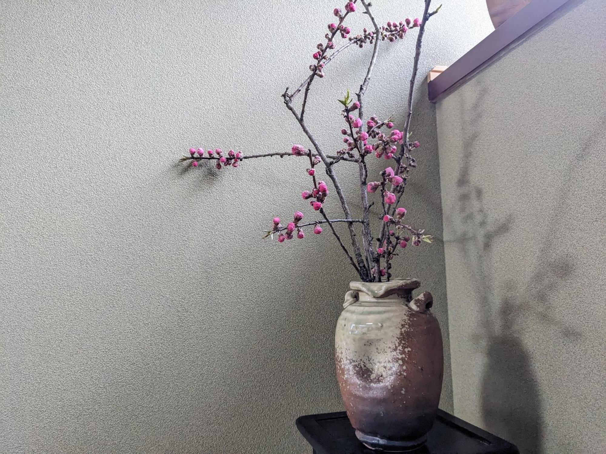 Farm Stay Inn Sanzaemon-Tei 母屋guesthouse Shiga-Takasima Traditional Japanese Architecture House المظهر الخارجي الصورة